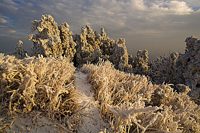 中国女人毛耸耸隂户｜中国女性时尚新宠：毛绒隂户保暖又个性，冬季潮流必备-1