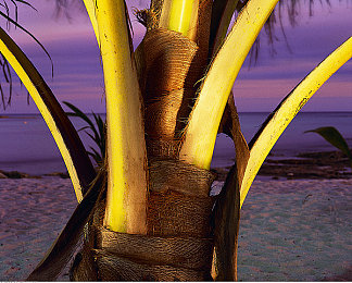 一个好妈妈11字新字｜“创新表达，传递母爱之美：11字新字‘一个好妈妈’温暖人心，成为生活最美风景”-2