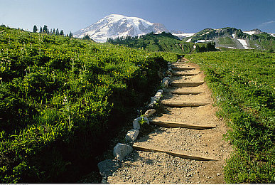 五月丁香久久｜五月丁香香满城，花语传情赏心游-1