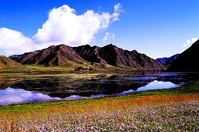 91吃瓜网站|言论自由的边界与社交平台的责任思考-4