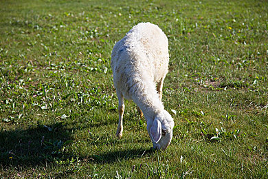 18款禁用软件｜国家发布禁令, 18款软件因安全隐患被禁用-1