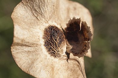 女生奖励素材库视频素材｜青春素材库，趣味学海探秘之旅-1