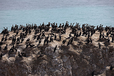 国产色情AV|成人影视市场崛起的隐秘逻辑与社会挑战-2