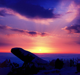 九九色视频｜净化网络，健康同行：挑战“九九色”的道德之旅-2