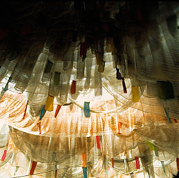 天涯pro｜天涯探秘：畅游无限，畅享社区新体验-2