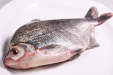 好 色 先 生TV下载安装|好色先生TV下载安装指南:轻松三步开启影视盛宴之旅-1