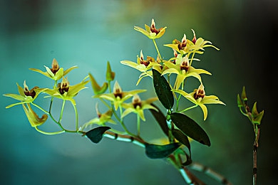 胸 啊 嗯～出奶了小｜“奶源助力，舒享生活——哺乳按摩神器，呵护女性健康之道”-1