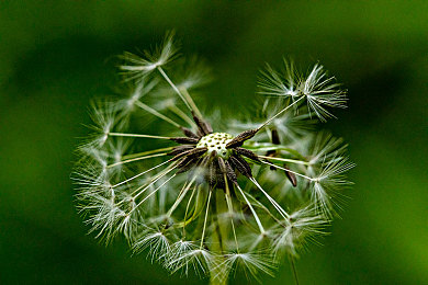 男生C女生|性别魅力碰撞,角色协作挑战游戏-3