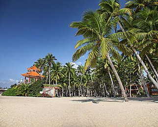 魅影看B站直播｜魅影直播盛宴：二次元魅力，游戏互动无限-4