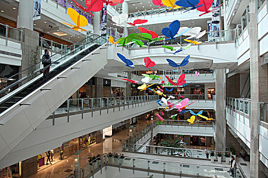 十八禁网｜虚拟迷雾中的成人探秘之旅