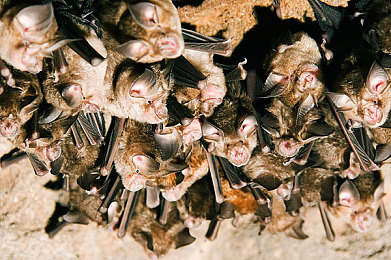 GAY片男同网站www免费｜性别多样性升温下的影视平台新趋势-1