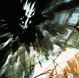 一小孩和妈妈摘萝卜不盖被子｜寒风中的母子情深：冬日摘萝卜引热议，家庭教育引深思-2