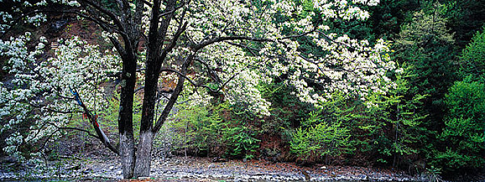 云缨被扒开腿坐做 同人游戏｜网络热议：同人游戏“云缨被扒开腿坐做”引发版权与道德双重思考-2