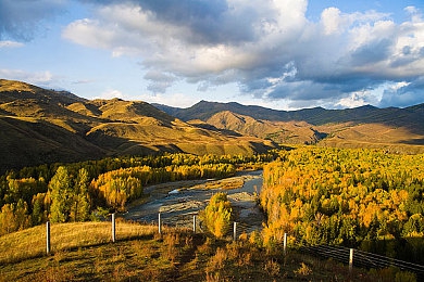 红桃视频入口｜揭开红桃视频入口神秘面纱：数字时代视听盛宴新潮流-1