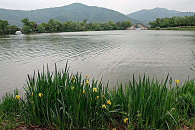 看黄入口｜网络诱惑揭秘：守护青春，远离“黄”陷阱-1