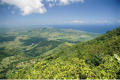 流氓软件|防患未然:网络安全卫士,守护你的电脑与手机-1