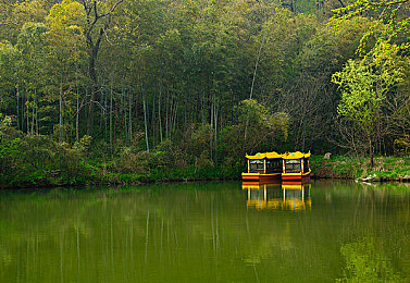 用刷子刷女初中生的脚丫子｜温馨足疗，点亮青春自信之路-1