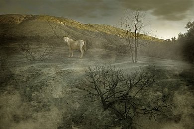 黑料网站｜黑料网站冒险之旅：揭秘网络犯罪真相，体验神秘游戏世界-3