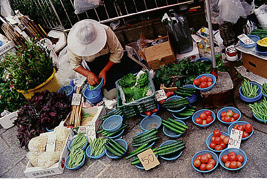 XAX MANTA UZUN HAYA背景图|数字星空,心灵海洋:XAX MANTA UZUN HAYA背景图的艺术之旅-2