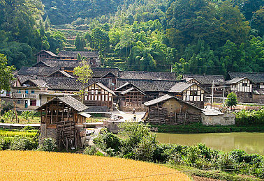 亚裔女被黑人玩到翻眼|亚裔女性街头遭遇种族歧视,社会热议呼吁共建和谐包容环境-1
