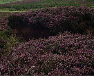 国产麻豆剧传媒精品国产AV|成人剧崛起:探索国产影视新纪元-1