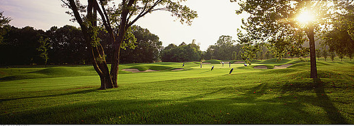 成为直播人的视频软件｜数字化时代直播新风尚：揭秘如何挑选适合自己的直播软件