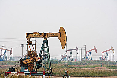 麻花传奇mv在线看｜视听盛宴，麻花传奇MV，激情启航，视听新篇章-2