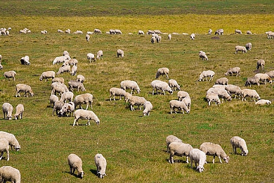 3.0.3免费oppo版破解大全免费下载 手机搜狐｜Oppo新版本3.0.3破解大全免费下载，手机搜狐助你畅游新体验