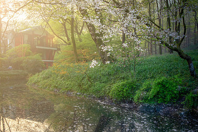 差差差很疼30分钟免费软件｜免费30分钟缓解疼痛！新应用“差差差很疼”引热议，专家提醒理性看待效果-3