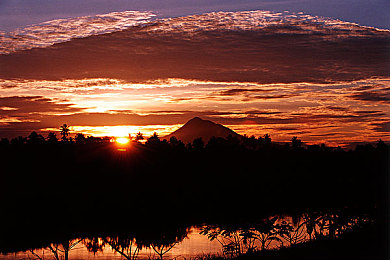 51吃瓜网站怎么倒闭了|知名八卦网站关闭背后,传统媒体如何自救-1