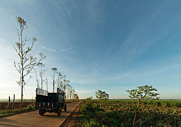 果树园里儿媳妇的背景故事｜坚韧智慧，园中花开——果树园儿媳妇的奋斗传奇-1