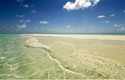 69bj|"69bj"音乐软件走红:个性化推荐,开启全新音乐社交体验-3