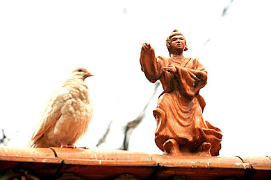 世界姓交大夺冠历程｜荣耀征途，交大拼搏梦想之旅-2