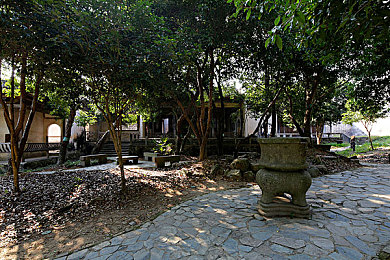 丁香婷婷六月｜青少年心灵绽放计划助力未来希望-2