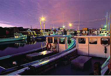 麻豆 传媒 国产｜国产影视新势力崛起，麻豆传媒引领潮流-1