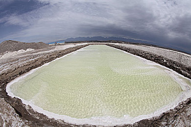 意大利野人泰山和珍妮｜意大利野人泰山与珍妮：丛林传奇，探险爱情，揭秘深山神秘生活-2