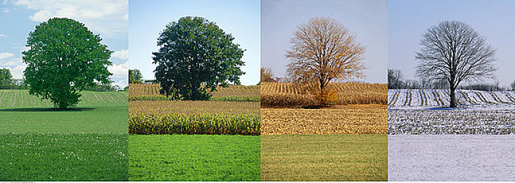 99久久这里只有精品｜《幻想世界》奇幻征途，八职传奇，视觉盛宴，挑战极限-2