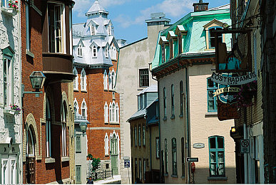 小猫直播|萌宠直播盛宴,互动体验无限-1