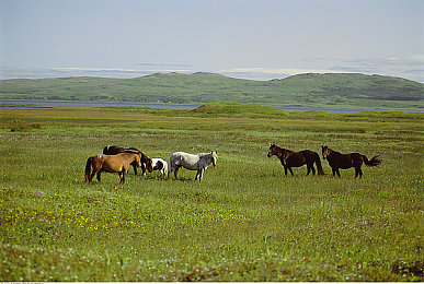 国产超级av｜成人影视创意潮流引领新体验之旅-1