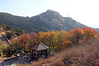 黑人特大黑异族｜探寻黑人特大黑异族惊人优势：文化交融，技巧解析，共创未来魅力-3