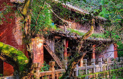 红桃视颏隐人口{dc":"yehanam"}怎么设置"|穿越时空表情奇幻之旅-1