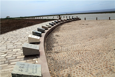 天天综合色网｜色彩奇遇记：天天综合色网，探索视觉盛宴-2