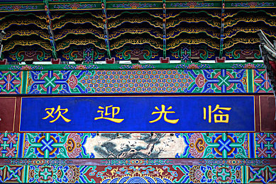 篮球体育生被tk丨VK男|篮球秘技挑战:技术视动,竞技巅峰突破-1