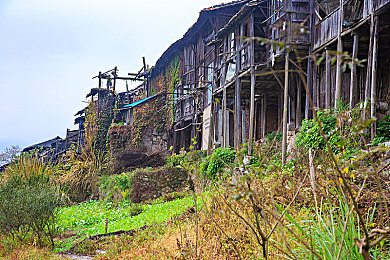 铜铜铜锵锵锵锵锵免费人民｜铜铜币敲响数字生活门，免费支付新体验来袭-1