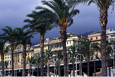 2023黄色软件｜网络净化风暴：2023年黄色软件肆虐与全民防范新篇章