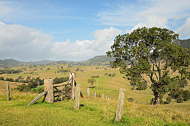 女娃BBwBBWBBwBBw|神秘女娃奇幻冒险之旅:解锁宝藏,挑战极限-1