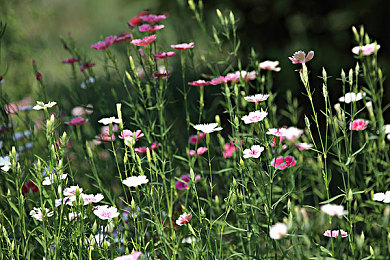 美女露出 让男生揉和play｜虚拟美颜互动，畅享激情游戏体验