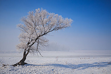 受虐狂自愿被酷刑虐玩｜探索“痛苦之恋”：揭秘受虐狂的内心世界与情感旅程-2