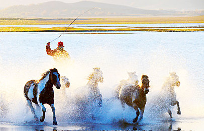 海棠书屋 - 值得收藏的宝藏文学小说｜文学港湾：海棠书屋里的宝藏世界-1