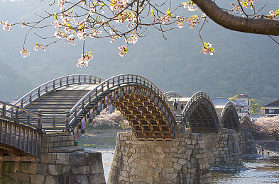 ZoomkooL牧场26z｜农业科技新篇章：ZoomkooL牧场26z引领未来养殖潮流-1